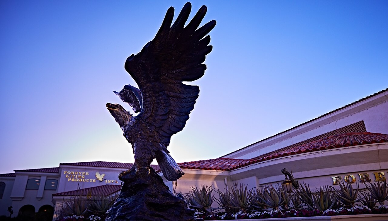 de-ce-sa-alegi-forever